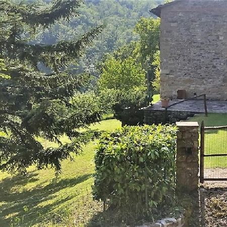 Casa Titina Riposo E Relax Nella Campagna Toscana Pratovecchio Extérieur photo