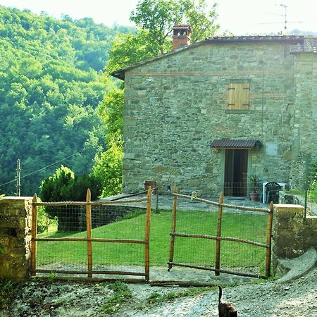 Casa Titina Riposo E Relax Nella Campagna Toscana Pratovecchio Extérieur photo