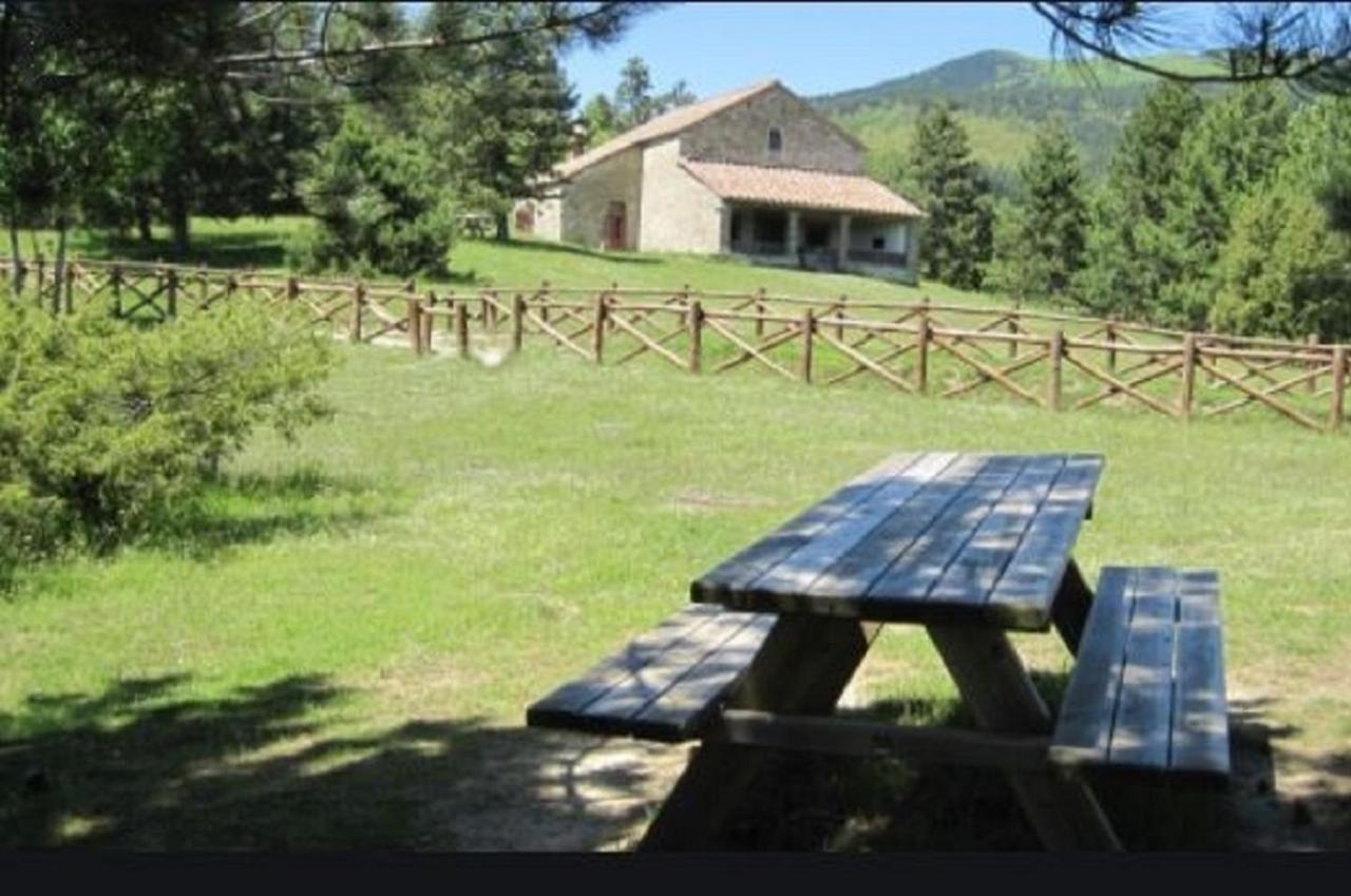 Casa Titina Riposo E Relax Nella Campagna Toscana Pratovecchio Extérieur photo