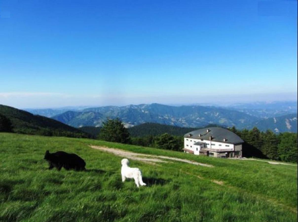 Casa Titina Riposo E Relax Nella Campagna Toscana Pratovecchio Extérieur photo