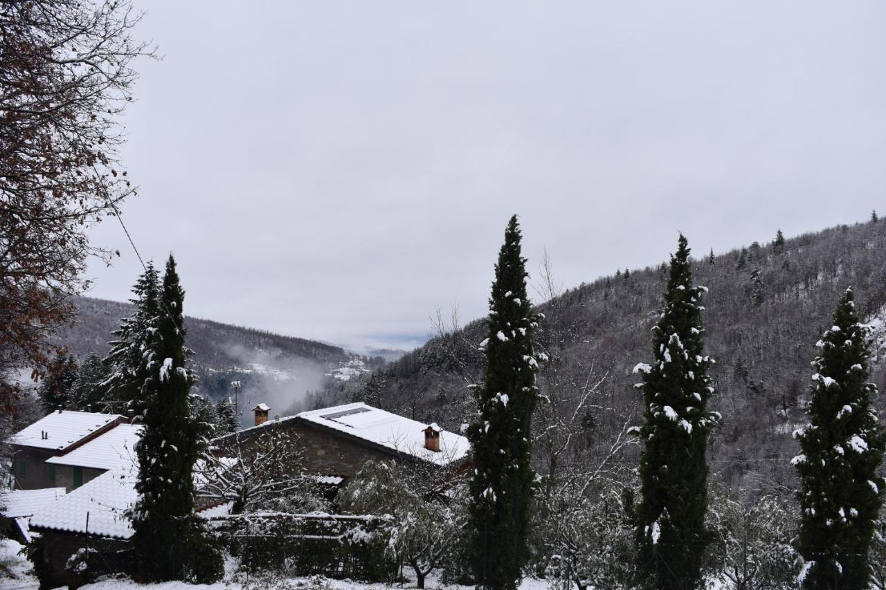 Casa Titina Riposo E Relax Nella Campagna Toscana Pratovecchio Extérieur photo