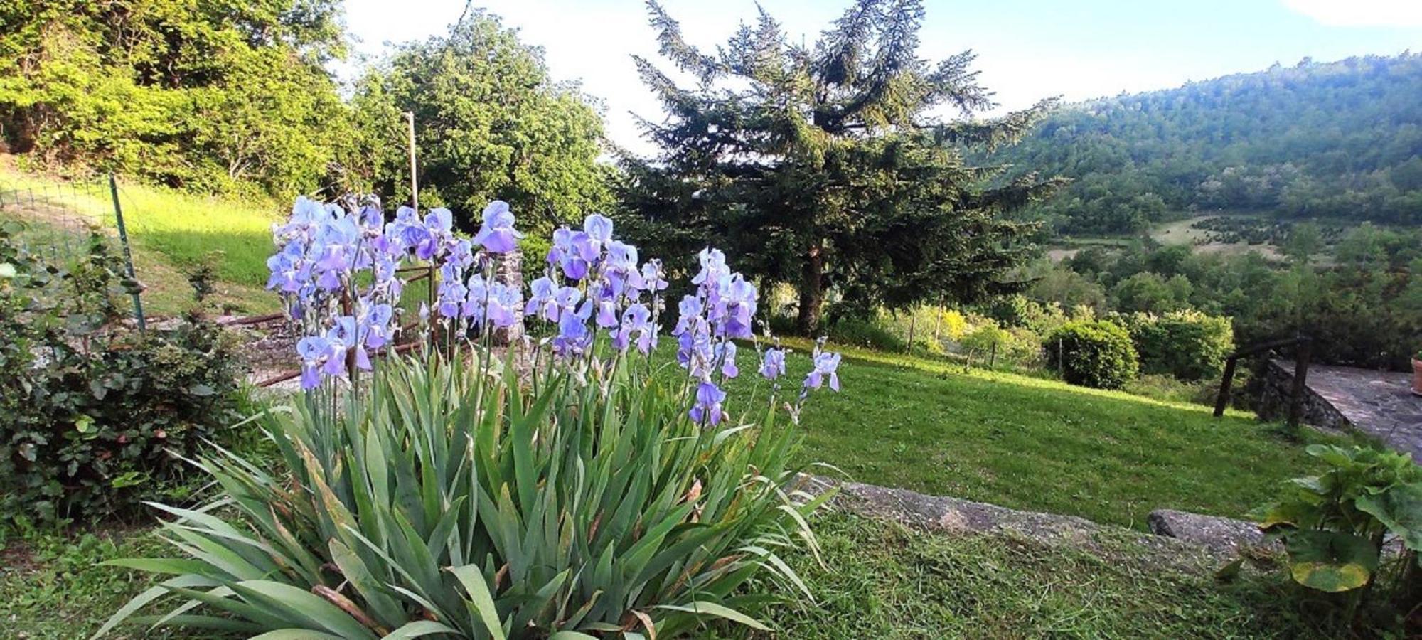 Casa Titina Riposo E Relax Nella Campagna Toscana Pratovecchio Extérieur photo